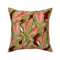 CALADIUM LEAVES (MAROON)