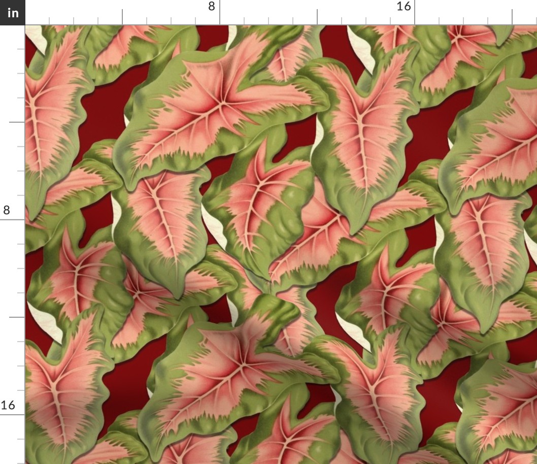 CALADIUM LEAVES (MAROON)