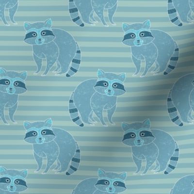 raccoon  on stripes