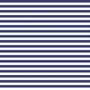 Small Horizontal USA Flag Blue and White Stripes 