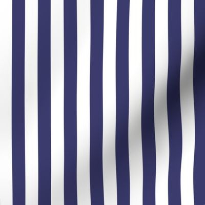 Small Vertical USA Flag Blue and White Stripes 