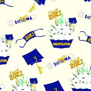 Covid Graduation 2021 Blue and Gold TP