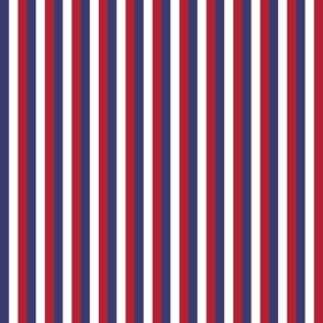 Small Vertical USA Flag Red, White and Blue Stripes 