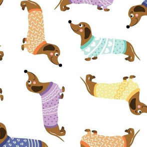 Dachshunds in Sweaters Mix Up Grande