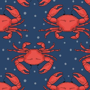 Crabs on navy