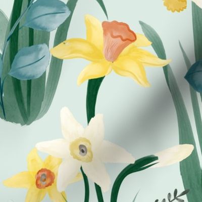 Daffodil Rumors