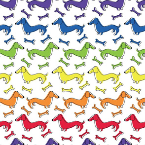 Rainbow Doxie Lg