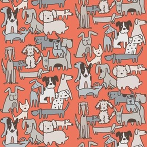 Dog Days in Summer Coral