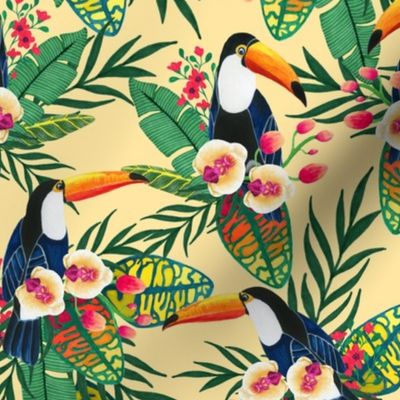 Toucans. Tropical birds