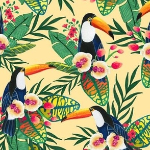 Toucans. Tropical birds
